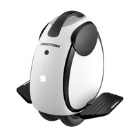 Inmotion E20