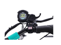 VSETT 9+ (15,6Ah-19,2Ah) + Big display - E-NextRiders Sport Pro Gear
