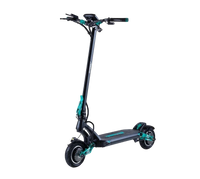 VSETT 9+ (15,6Ah-19,2Ah) + Big display - E-NextRiders Sport Pro Gear