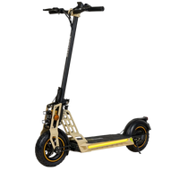 ECOXTREM BISON - Homologado DGT - E-NextRiders Sport Pro Gear