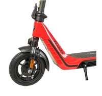 ECOXTREM ETRiC ZENDA - 500W 25Km/h - E-NextRiders Sport Pro Gear